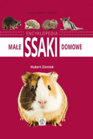 Male ssaki domowe Encyklopedia