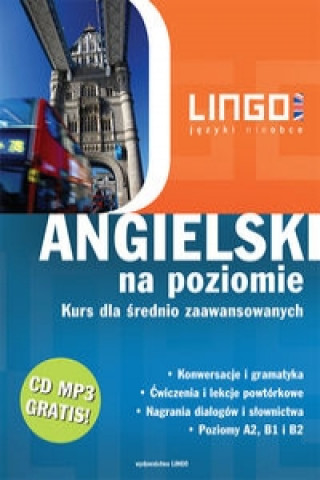 Angielski na poziomie. Nowe wydanie