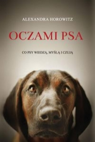 Oczami psa