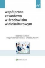 Wspolpraca zawodowa w srodowisku wielokulturowym