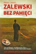 Bez pamieci