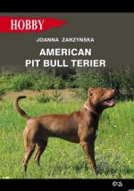 American pit bull terier