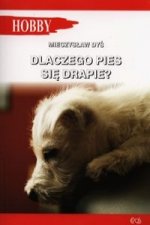 Dlaczego pies sie drapie?