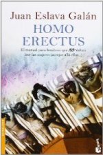 Homo erectus