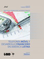 Telefonía móvil y servicios financieros en América Latina : análisis y caracterización