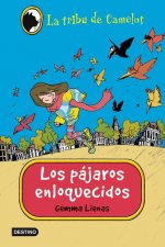 Carlota y el misterio de los pájaros enloquecidos