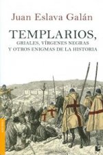Templarios, griales, vírgenes negras y otros enigmas de la historia