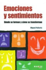 Emociones y sentimientos