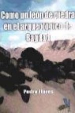 Como un ladrón de piedra en el arqueológico de Bagdad