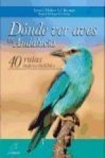 Dónde ver aves en Andalucía: 40 rutas imprescindibles