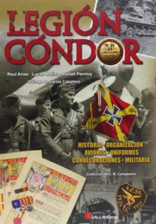 Legión Cóndor : estructura de una fuerza de combate