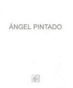 Ángel Pintado : catálogo