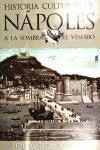 A la sombra del vesubio : historia cultural de Nápoles