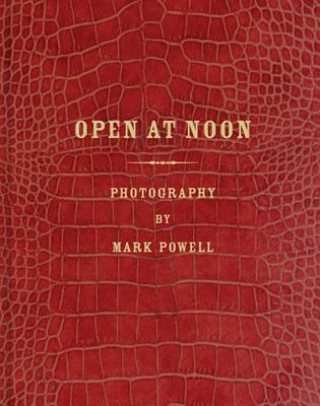 Open at Noon: Mark Alor Powell