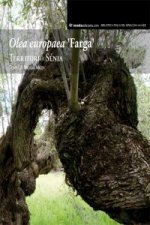 Olea europaea? Farga? : Territori Sénia