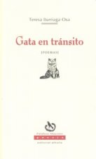 Gata en tránsito