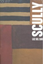 Sean Scully, Luz del Sur