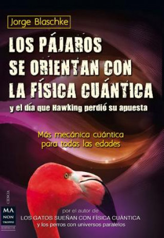 Los Pajaros Se Orientan Con La Fisica Cuantica y El Dia Que Hawking Perdio Su Apuesta