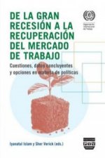De la gran recesión a la recuperación del mercado de trabajo : cuestiones, datos concluyentes y opciones en materia de políticas