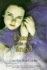 Diario de un ángel