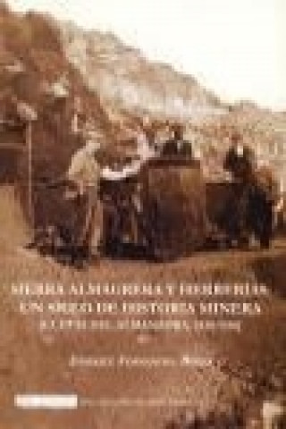 Sierra Almagrera y Herrerías : un siglo de historia minera : Cuevas del Almanzora, 1838-1936