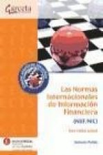 Las Normas Internacionales de Información Financiera (NIIF/NIC): una visión actual
