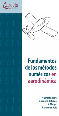 Fundamentos de los métodos numéricos en aerodinámica