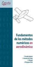 Fundamentos de los métodos numéricos en aerodinámica