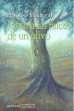 Juanto a las raíces de un olivo