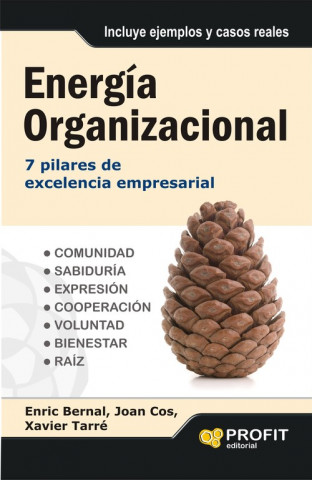 Energía organizacional : 7 pilares de excelencia empresarial