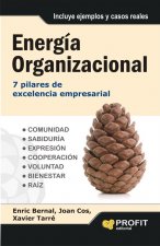 Energía organizacional : 7 pilares de excelencia empresarial