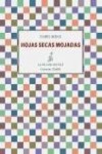 Hojas secas mojadas