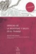 Derecho de la seguridad y salud en el trabajo