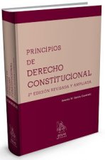 Principios de derecho constitucional