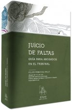 Juicio de faltas : guía para abogados en el tribunal
