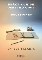 Prácticum de derecho civil : sucesiones