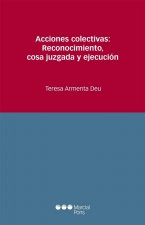 Acciones colectivas : reconocimiento, cosa juzgada y ejecución