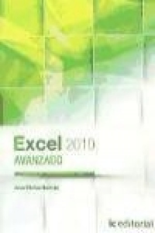 Excel 2010 avanzado