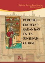 Derecho, eficacia y garantías en la sociedad global : liber amicorum I en honor de María del Carmen Calvo Sánchez