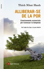 Alliberar-se de la por: coneixements essencials per travessar la tempesta