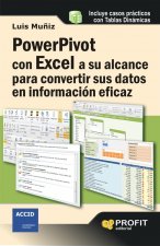 Powerpivot con excel a su alcance para convertir sus datos en información eficaz