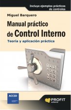 Manual práctico de control interno: teoría y aplicación práctica