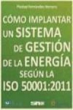 Cómo implantar un sistema de gestión de la energía según la ISO 50001:2011