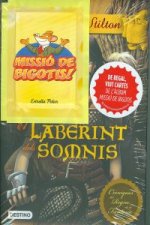 El laberint dels somnis