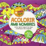 Acolorir amb nombres