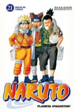 Naruto 21