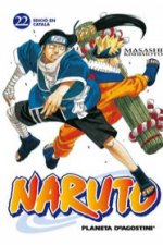 Naruto 22