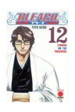 BLEACH 12 (COMIC)