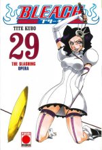 Bleach 29