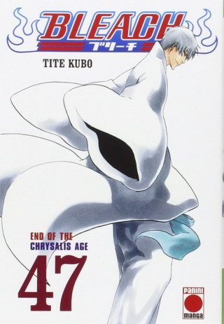 Bleach 47
